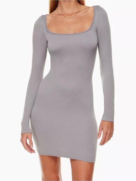 Sunday Best Dresses & Skirts - Aritzia Sunday Best Delta SinchSeamless Gray Long Sleeve Dress